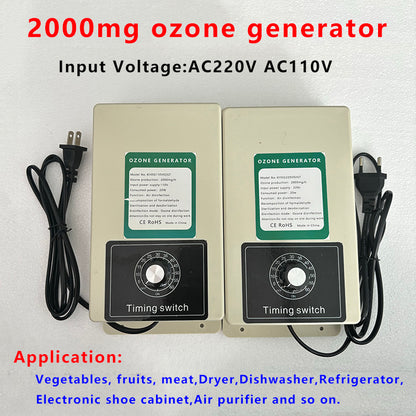 2000mg/h Ozone Generator Disinfection for Fruits Vegetables Meat Food With Timer